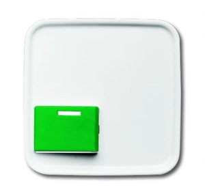 Preview: Busch-Jäger C-Sch. R-SI CO99 Abstell, 2548-642 C-214-101