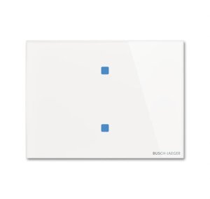 Preview: Busch-Jäger Bedienelement 2f., TB/U2.8.11-CG