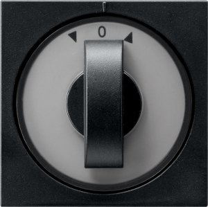 Preview: GIRA Abd. Knebel Zeitschalter + 0666005