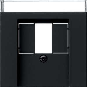 Preview: GIRA Abd. BSF TAE USB System 55 0876005