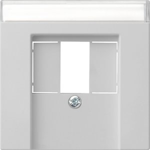 Preview: GIRA Abd. BSF TAE USB System 55 0876015