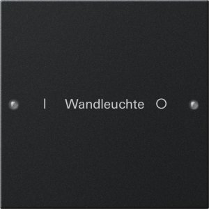 Preview: GIRA Wippenset 1f beschr. System 2201005