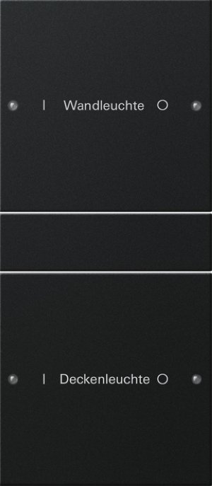 Preview: GIRA Wippenset 2f (1+1) beschr. 2202005