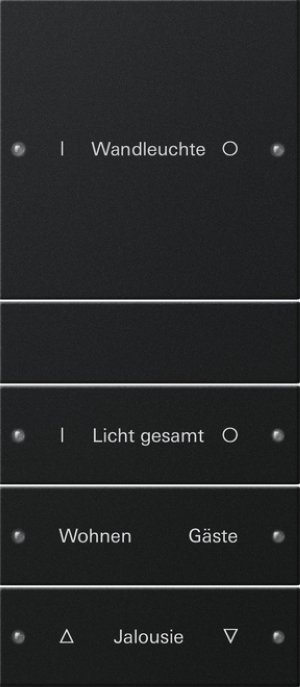 Preview: GIRA Wippenset 4f (1+3) beschr. 2204005