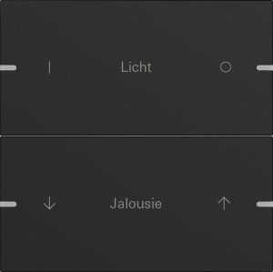 Preview: GIRA Wippenset 2f indiv. Tastsen 5032905