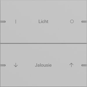 Preview: GIRA Wippenset 2f indiv. Tastsen 5032915