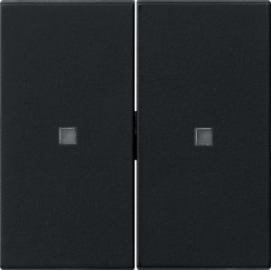 Preview: GIRA S3000 Wippe 2f unbedruckt S 5369005