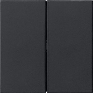 Preview: GIRA Wippe 2f unbedruckt  5370005