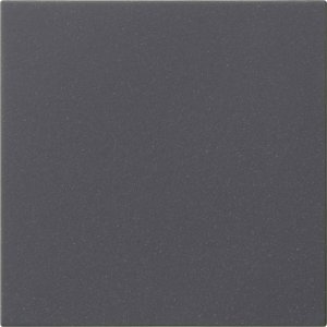 Preview: GIRA Wippe 1f unbedruckt  537228