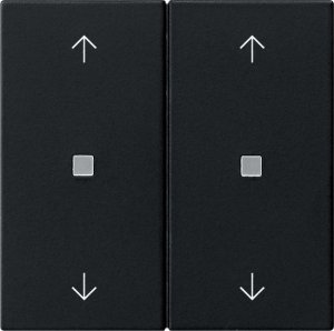 Preview: GIRA Wippe 2f Pfeile  5386005