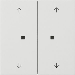 Preview: GIRA Wippe 2f Pfeile  5386112