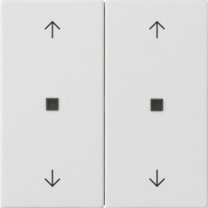 Preview: GIRA Wippe 2f Pfeile  538627