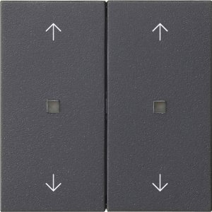 Preview: GIRA Wippe 2f Pfeile  538628