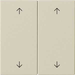 Preview: GIRA Wippe 2f Pfeile  538701