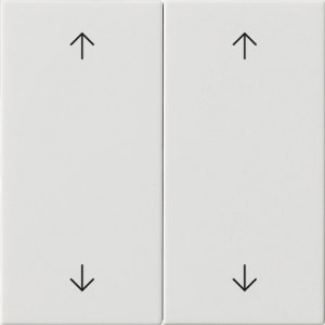 Preview: GIRA Wippe 2f Pfeile  538703