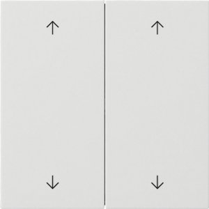 Preview: GIRA Wippe 2f Pfeile  5387112