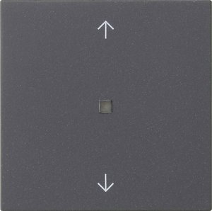 Preview: GIRA Wippe 1f Pfeile  538828