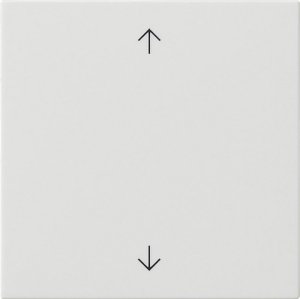 Preview: GIRA Wippe 1f Pfeile  538903