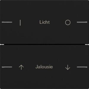 Preview: GIRA Wippenset 2f indiv.  5762005