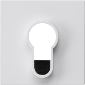 Preview: GIRA Abd.Schlüsselschalter/-taste 866403