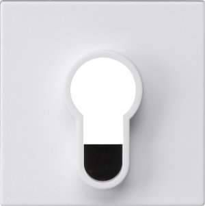 Preview: GIRA Abd.Schlüsselschalter/-taste 866427