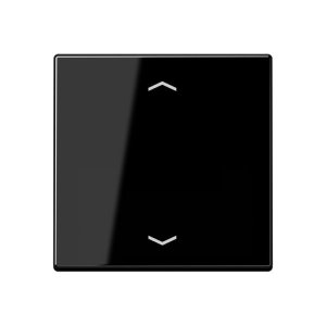 Preview: Jung Steuertaste Standard -Pfei A1700PSW