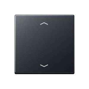 Preview: Jung Steuertaste Standard -P A1700BFPANM