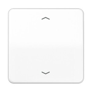 Preview: Jung Steuertaste Standard -Pfe CD1700PWW