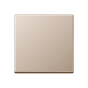 Preview: Jung Steuertaste Standard A1700CH