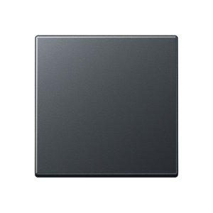 Preview: Jung Steuertaste Standard A1700BFANM
