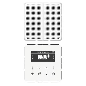 Preview: Jung Smart Radio DAB+, Display DABCD1WW