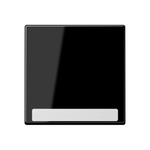 Preview: Jung Wippe f. Schalter/Taster A590BFNASW