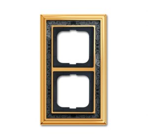 Busch-Jäger Rahmen 2-fach  1722-833, 1754-0-4649