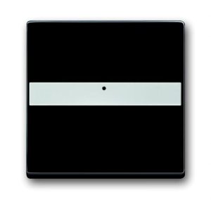 Busch-Jäger 1764 NLI-885 future® linear, Wippen, Abdeckung mit Beschriftungsfeld und Lichtleiter, schwarz matt (1731-0-1982)