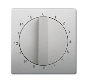 Busch-Jäger Zentralscheibe  1770-866-103, 2CKA001753A0259