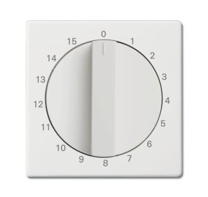 Busch-Jäger Zentralscheibe  1770-884-103, 2CKA001753A0260