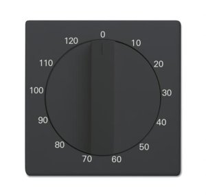 Busch-Jäger Zentralscheibe  1771-81-103, 2CKA001753A0265