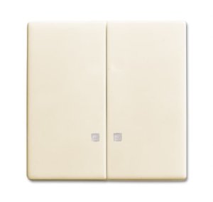 Busch-Jäger Wippe   1785K-82, 2CKA001751A3123