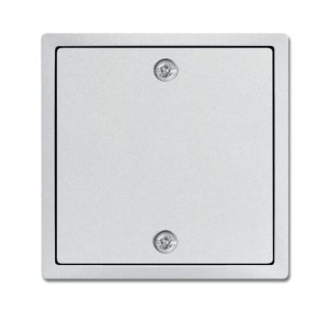 Busch-Jäger Zentralscheibe  1796-83, 2CKA001753A0310