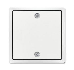 Busch-Jäger Zentralscheibe  1796-84, 2CKA001753A0311