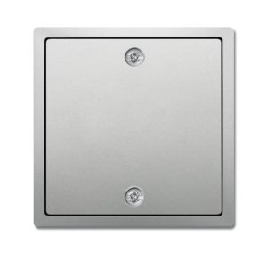 Busch-Jäger Zentralscheibe  1796-866, 2CKA001753A0312