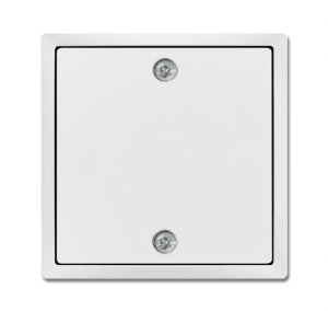 Busch-Jäger Zentralscheibe  1796-884, 2CKA001753A0313