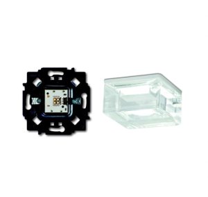 Busch-Jäger 2069/21 Busch-iceLight®, Busch-iceLight® Set Nachtlicht, Busch-iceLight® Set Deckenlicht, (1510-0-0018)