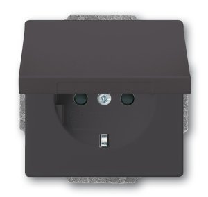 Busch-Jäger 20 EUK-81 carat®, SCHUKO® Steckdosen, Steckdose mit Klappdeckel, anthrazit (2018-0-1486)