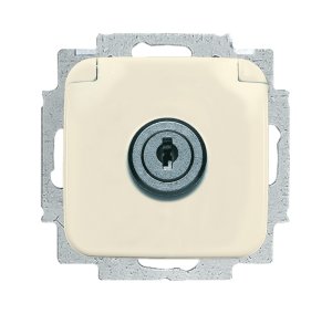 Busch-Jäger 20 EUKSL-212 Busch-Duro 2000® SI, SCHUKO® Steckdosen, Steckdose mit Klappdeckel, abschließbar, verschiedenschließend, weiß (2018-0-1222)