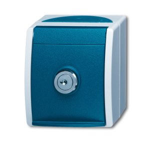Busch-Jäger 20 EWSL-53 ocean® (IP 44), SCHUKO® Steckdosen, Steckdose mit Sicherheitsschloss, grau/blaugrün (2083-0-0822)