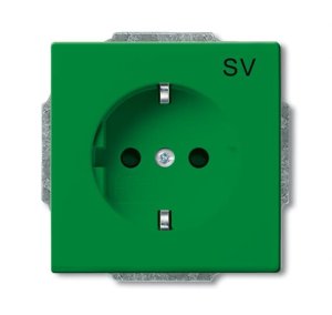 Busch-Jäger SCHUKO®-Std eBs grü SV, 20 EUCB-13-82-102