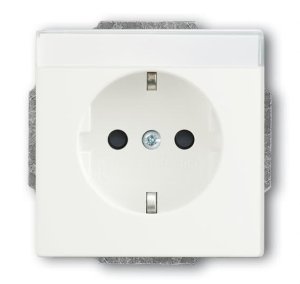 Busch-Jäger SCHUKO-Steckdosen-Einsa 20EUCNB-884, 2CKA002013A5433