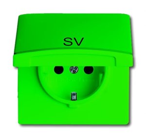 Busch-Jäger Steckd. AW44 eBS KD, 20 EUGKB-13-102