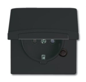 Busch-Jäger 20 EUGKB-35-101 Allwetter 44®, wassergeschützt (IP 44), SCHUKO® Steckdosen, Steckdose mit Klappdeckel, anthrazit (2064-0-0295)